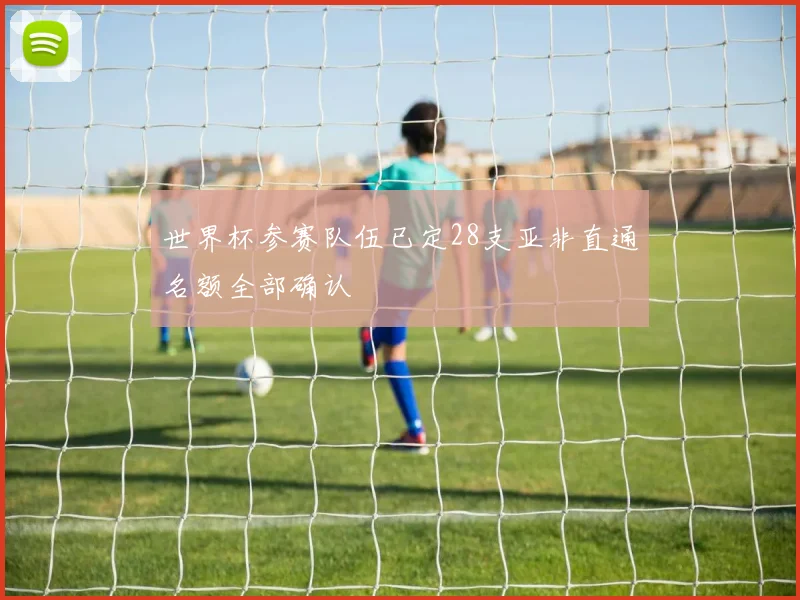 世界杯参赛队伍已定28支亚非直通名额全部确认