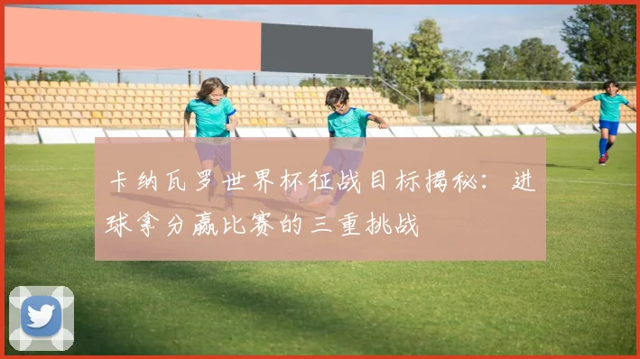 卡纳瓦罗世界杯征战目标揭秘：进球拿分赢比赛的三重挑战